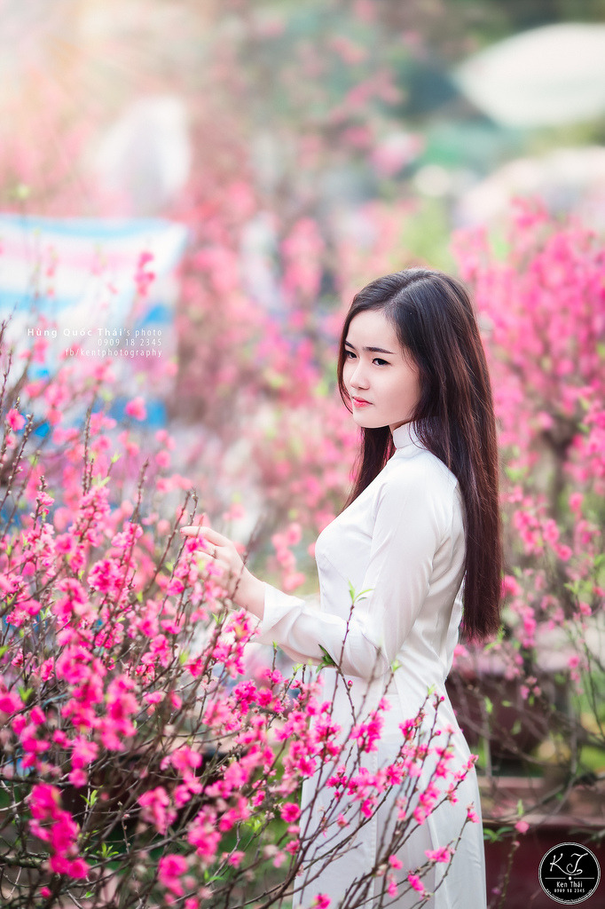 年轻妻子的工作在线观看