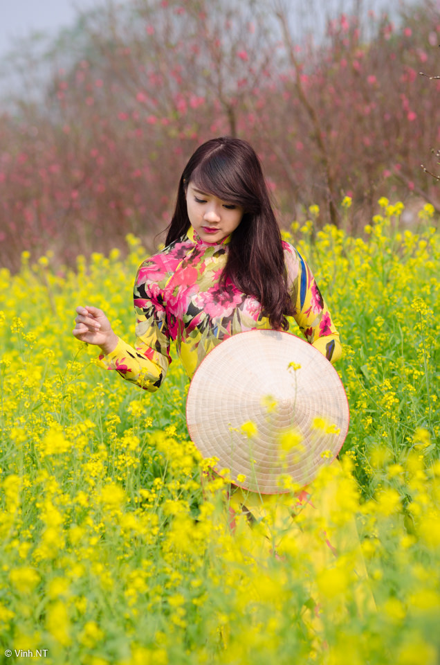 我的极品老妈19